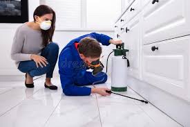 Best Fumigation Services  in Clay, CA